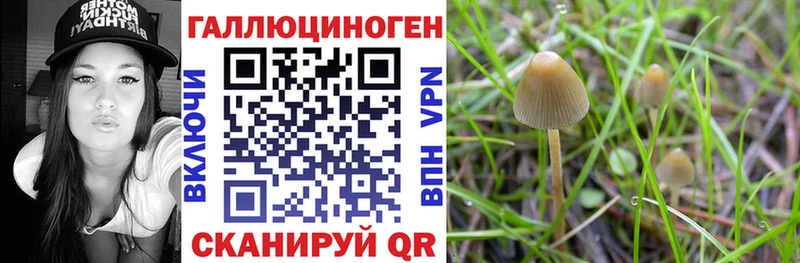 где найти наркотики  Пролетарск  Галлюциногенные грибы GOLDEN TEACHER 